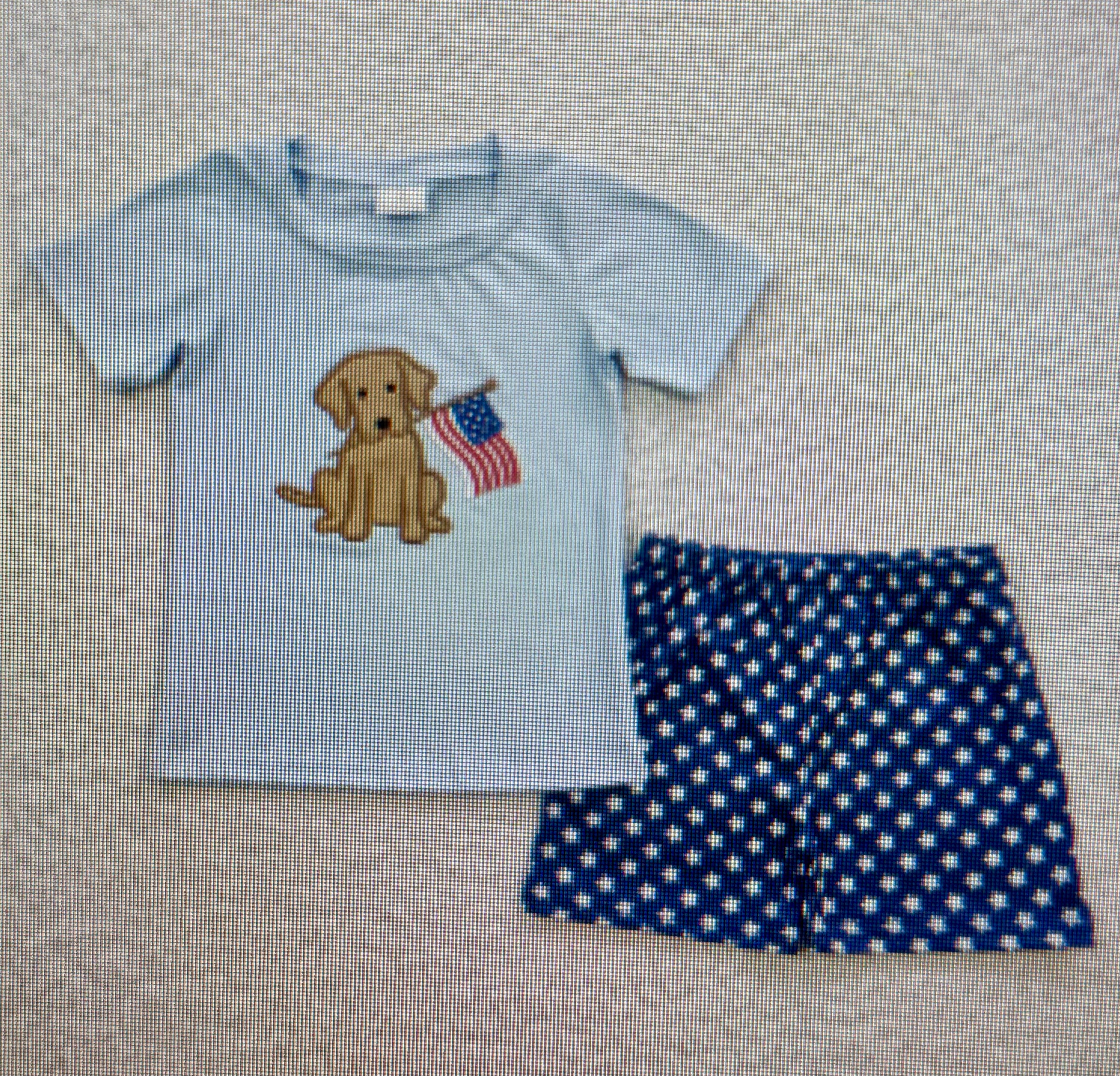 Boy's & Girl's patriotic Outfit 1-2 week tat