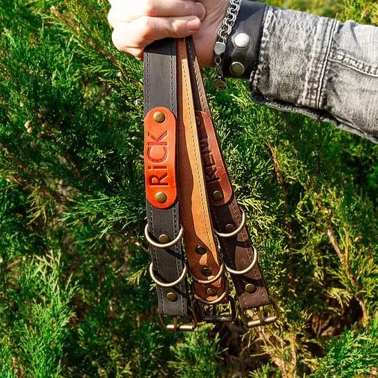 Personalized Dog Collar  1-2 week tat (Please Choose color in personalization box)