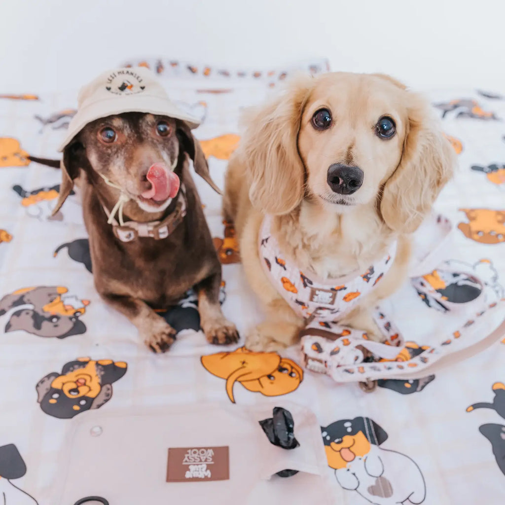 Dog Picnic Blanket  1-2 week tat